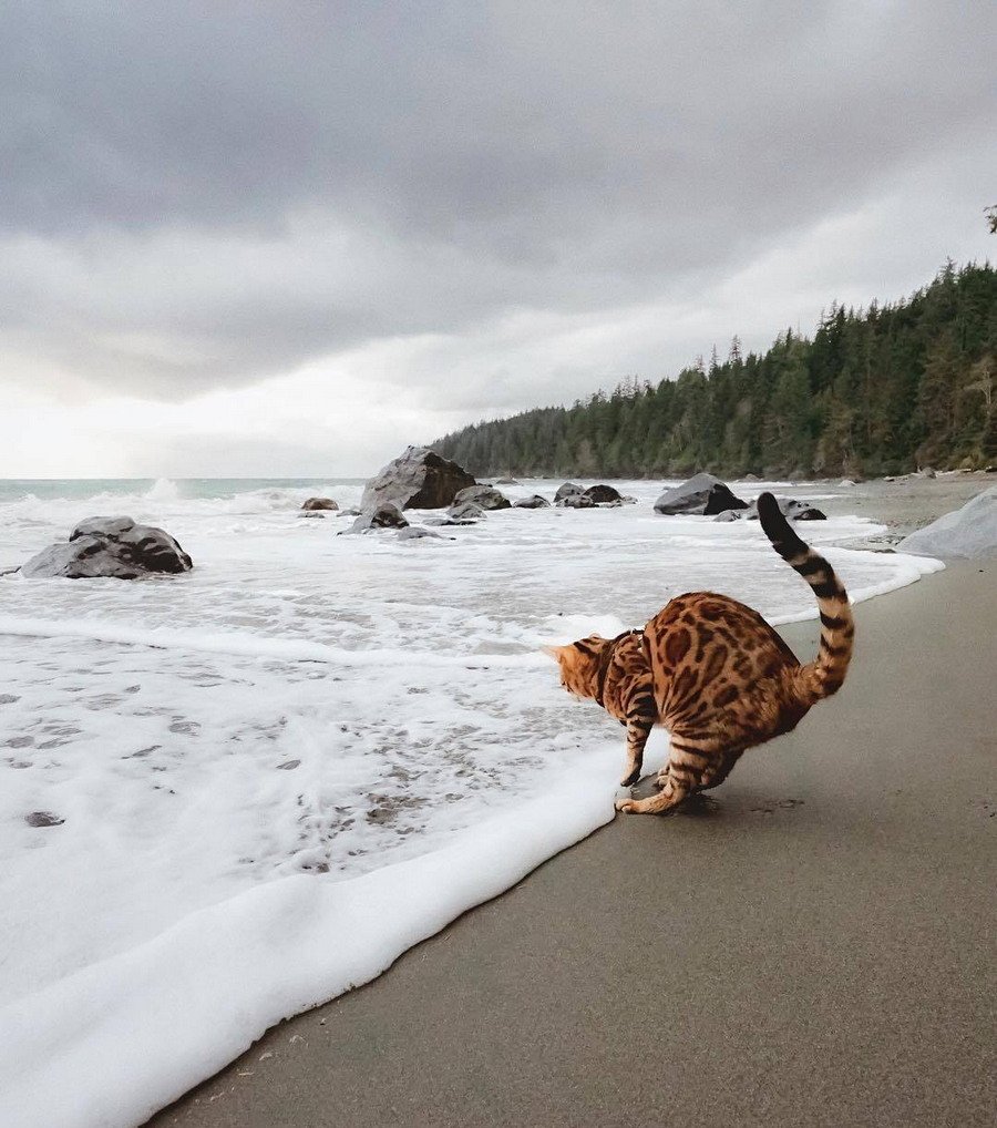 Открытки для оптимизма