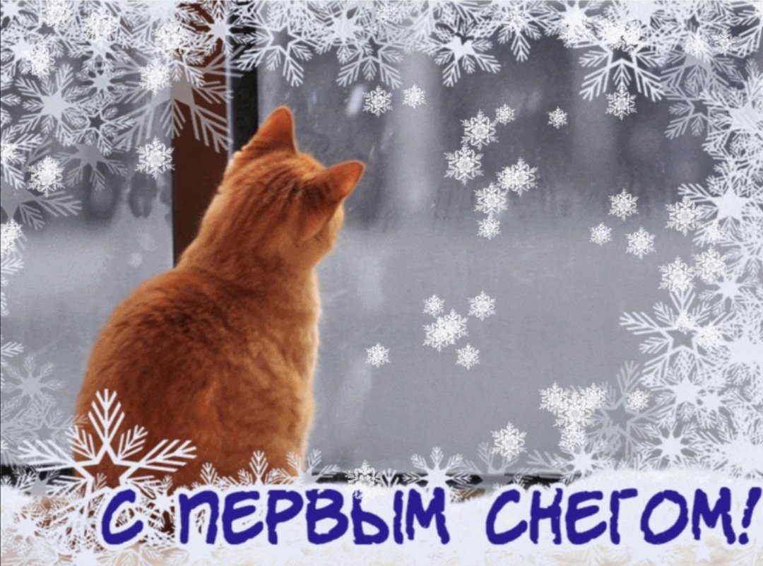 Первый снег