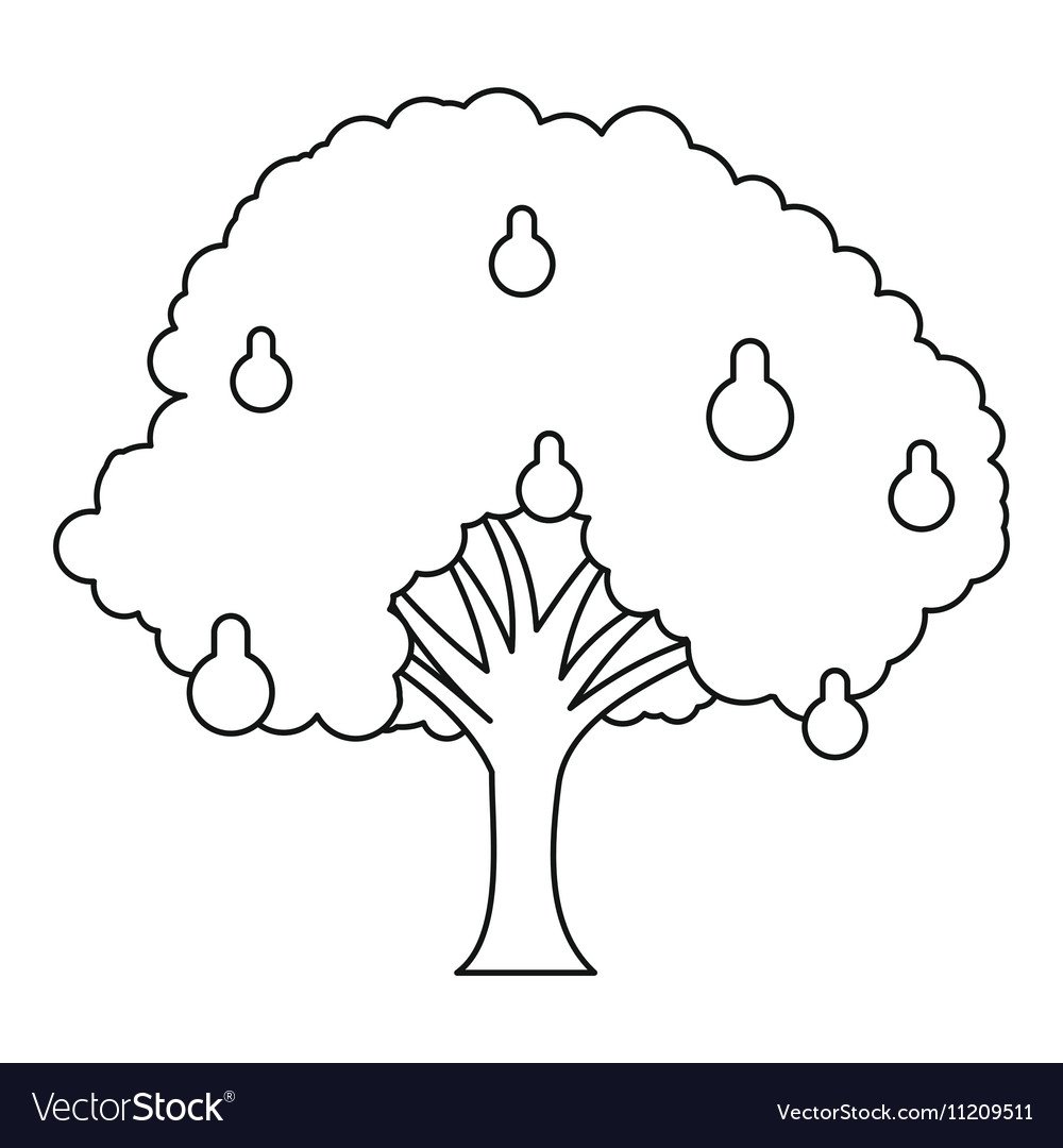 Грушевое дерево раскраска