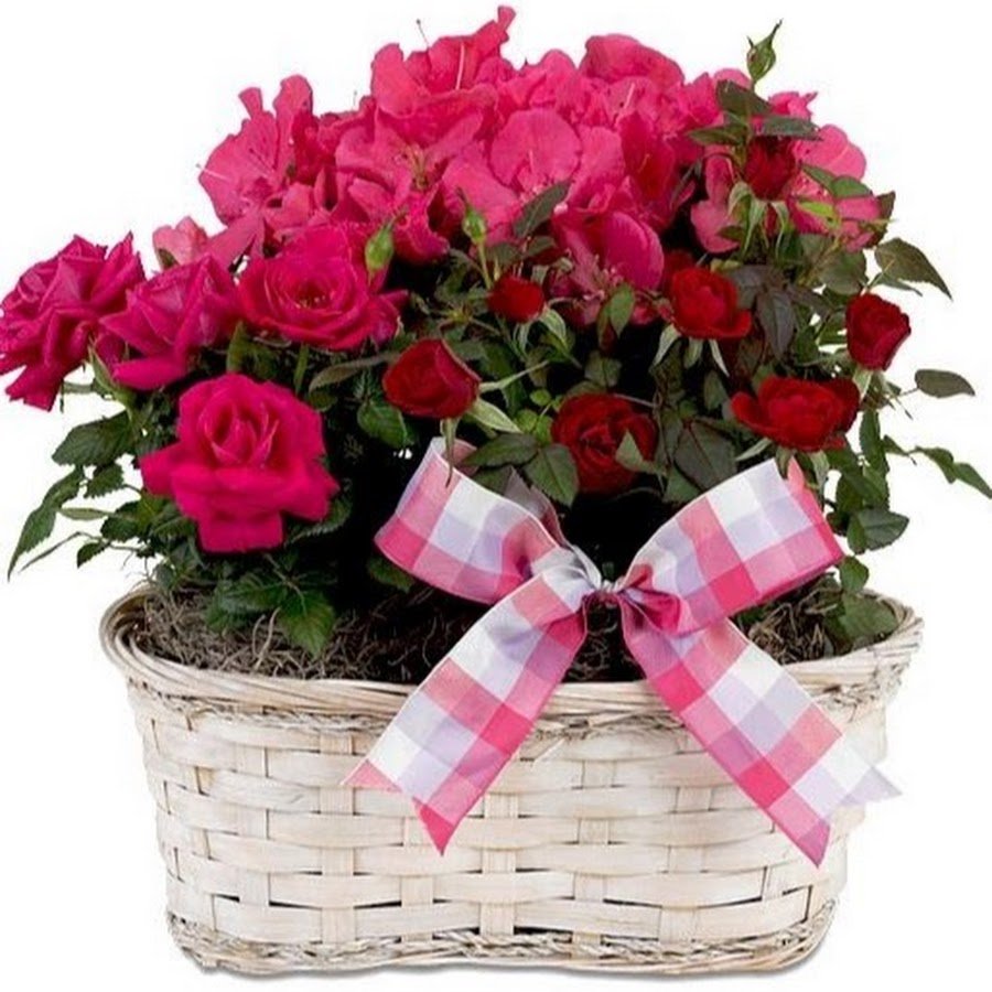 Поздравление с днем рождения на та