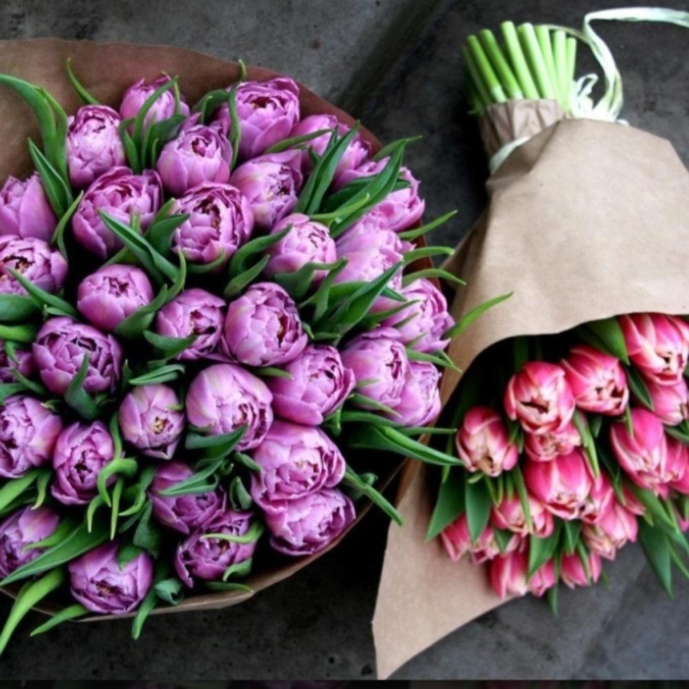 Тюльпан махровый поздний Дабл Бьюти оф Апельдорн