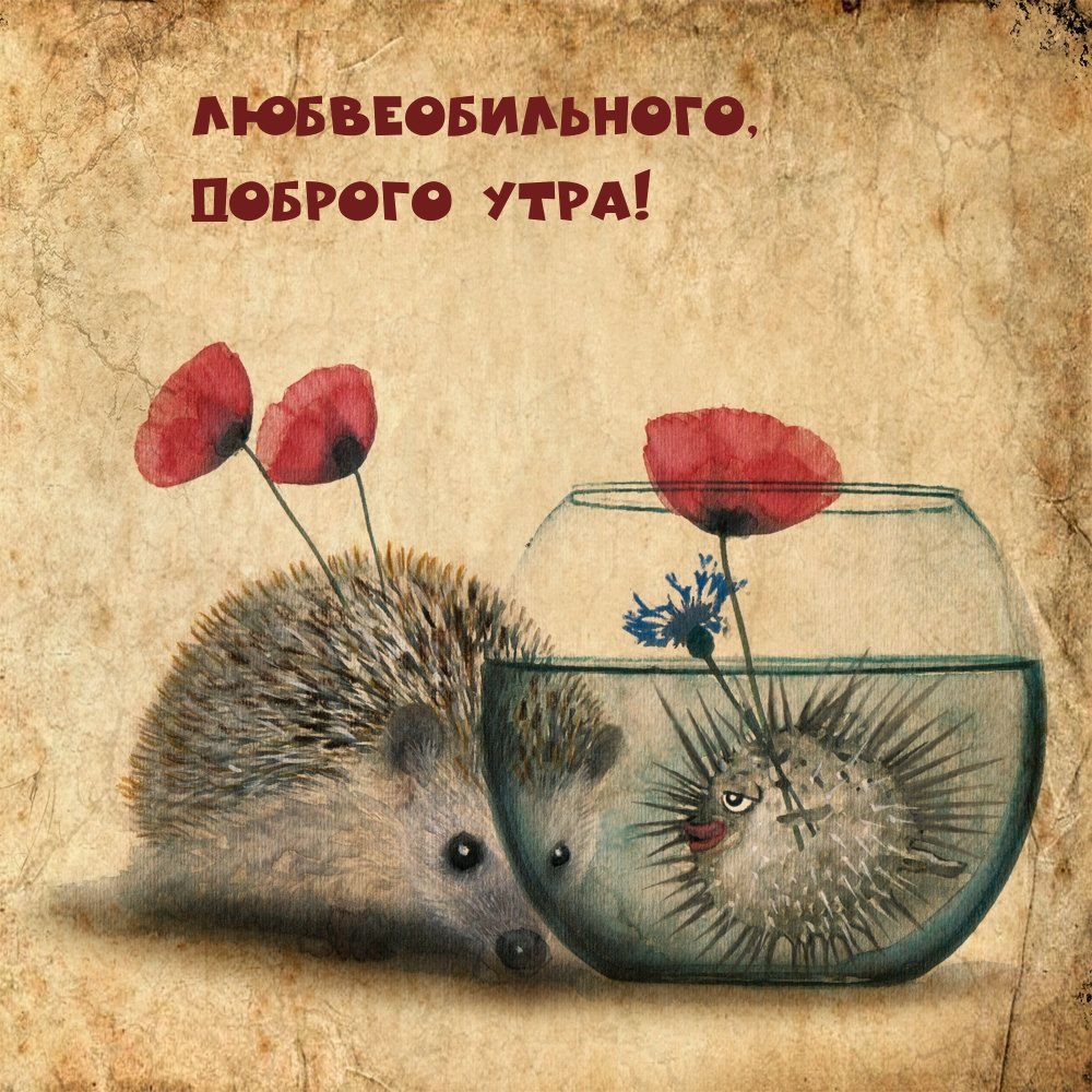 Влюбленные ежики арт