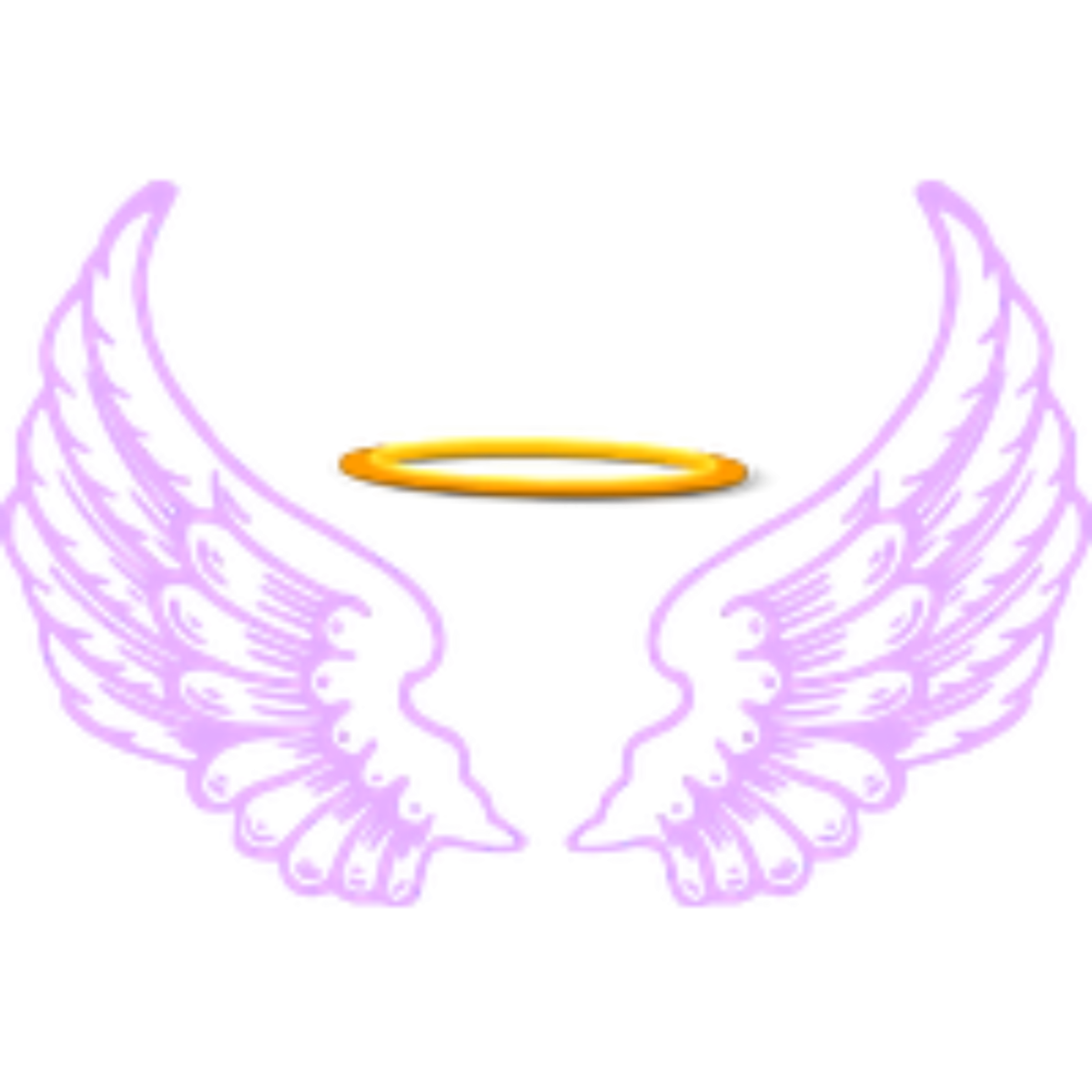 Крылья с нимбом