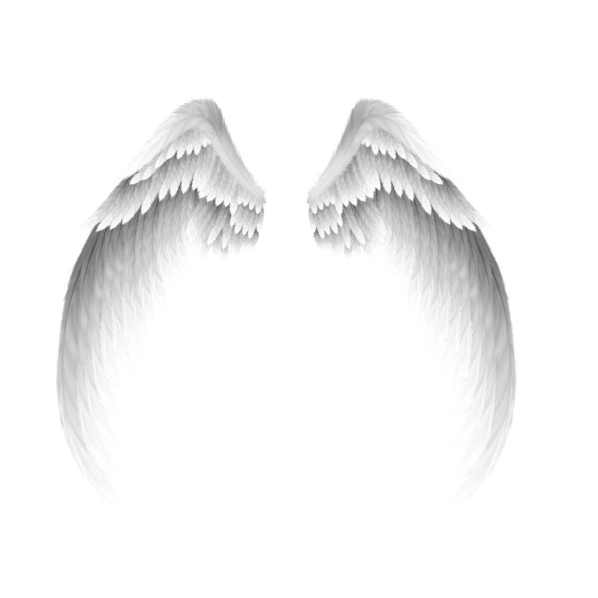 Белые Крылья на прозрачном фоне
