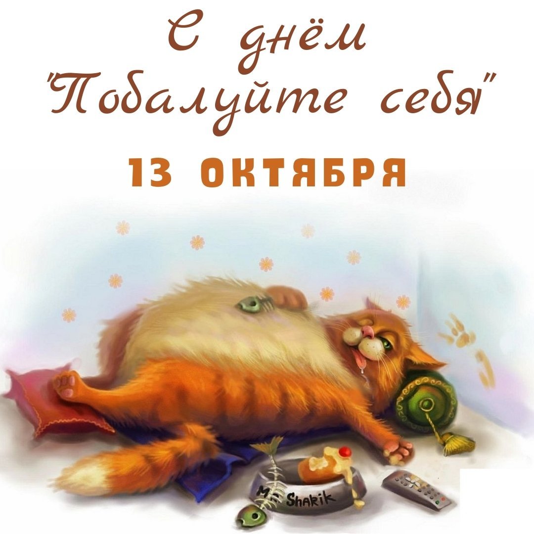 Смешные картинки вечер