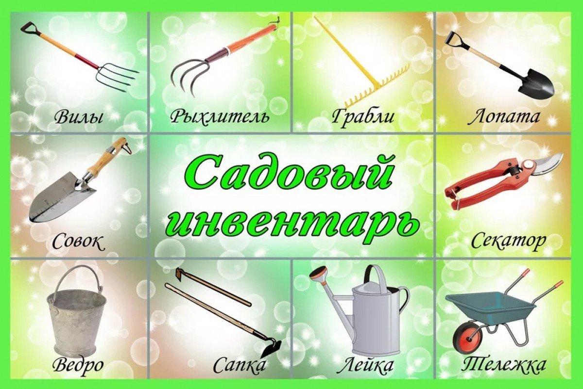 Карточки для детей садовый инвентарь
