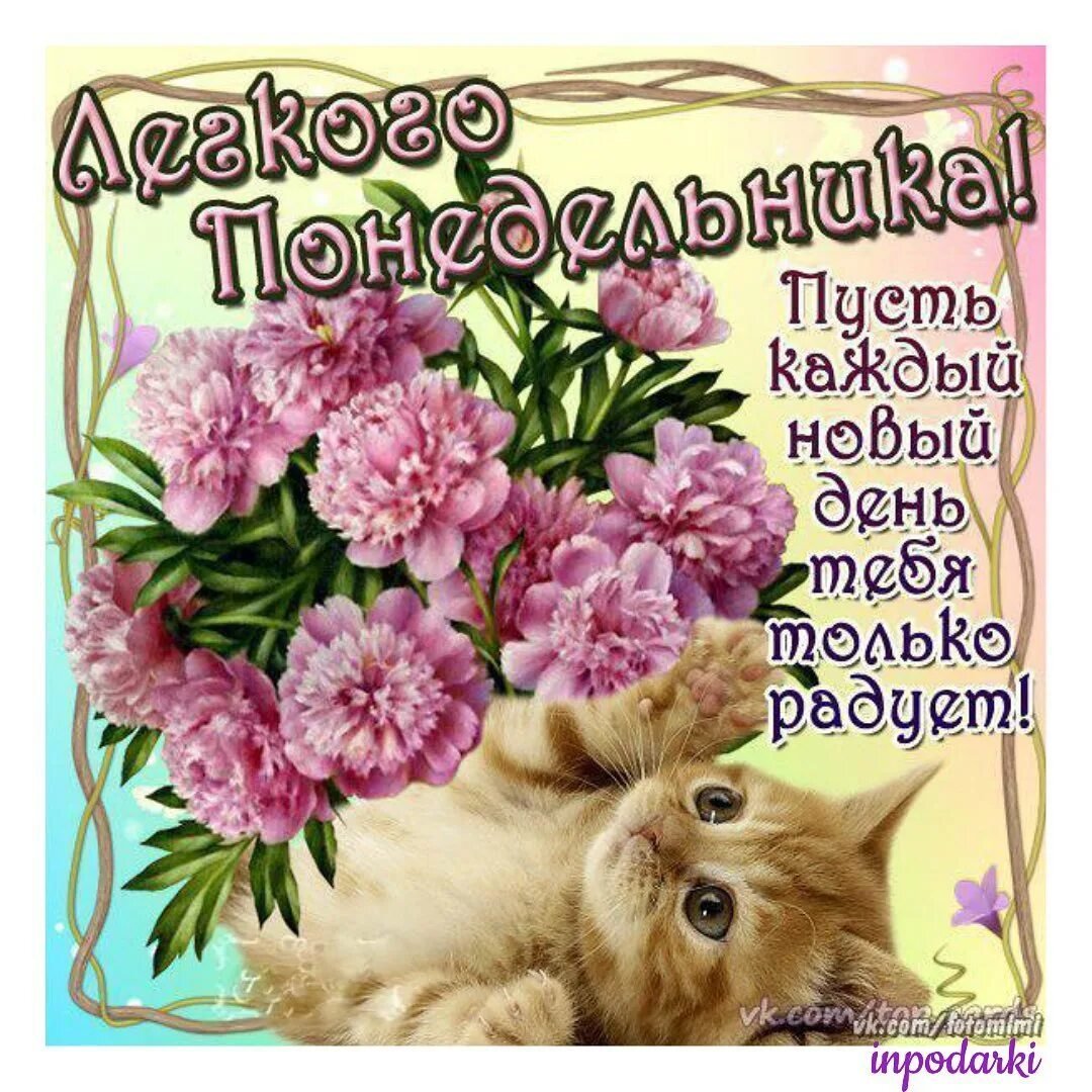Открытки с понедельником