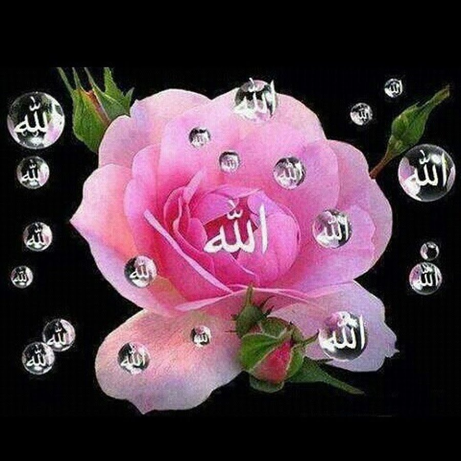 Мусульманские цветы гиф