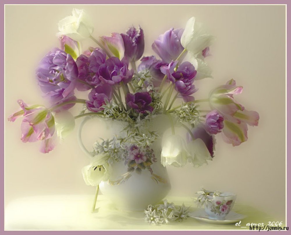 Фотонатюрморты  Дарьи Никончук