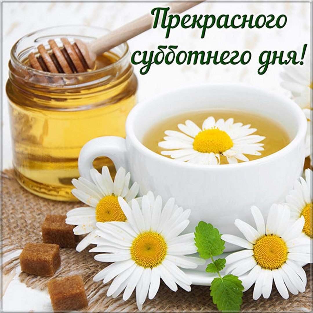 Прекрасной субботы и отличного настроения