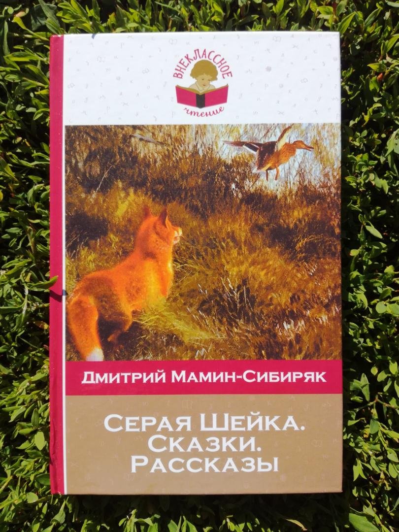 Серая шейка иллюстрации к сказке