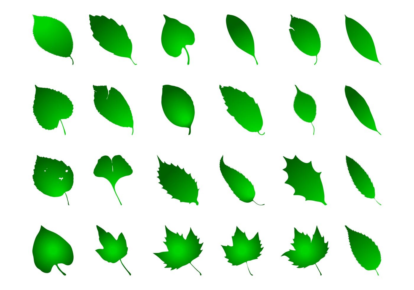 Листочки зеленого цвета. Цветные листочки. Листья деревьев. Маленькие листики. Зеленые листочки.