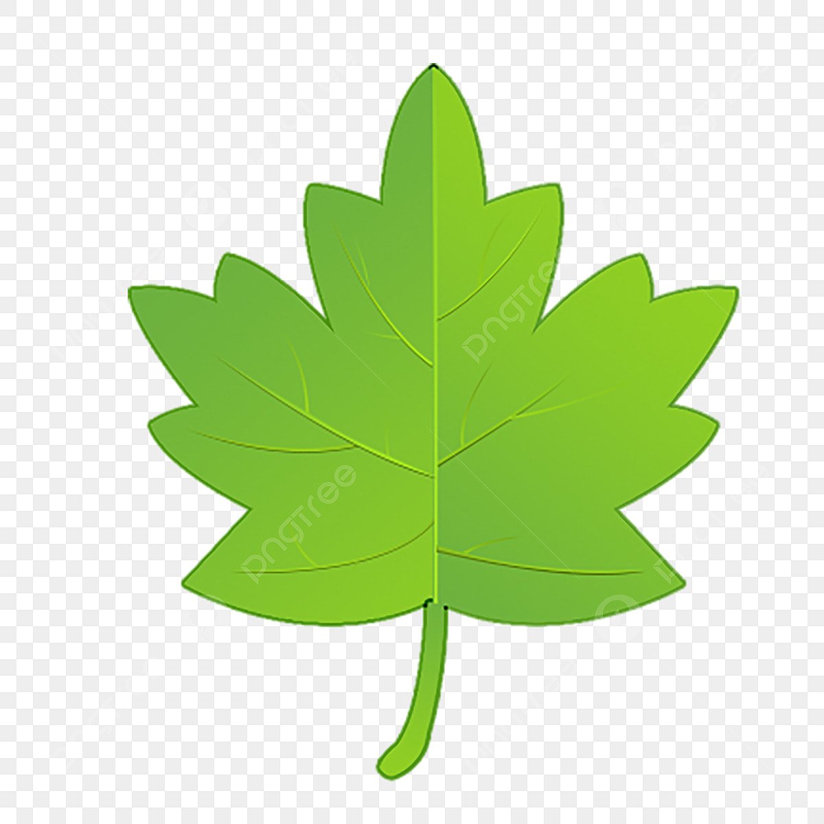 Листочек вектор