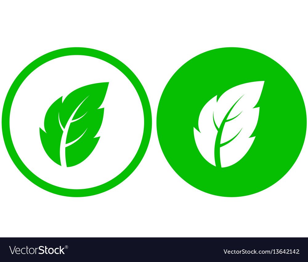 Листок знак эко вектор
