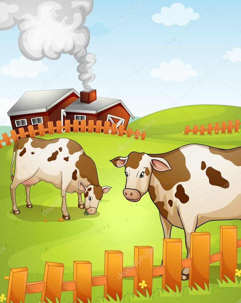 Коровы ферма для детей