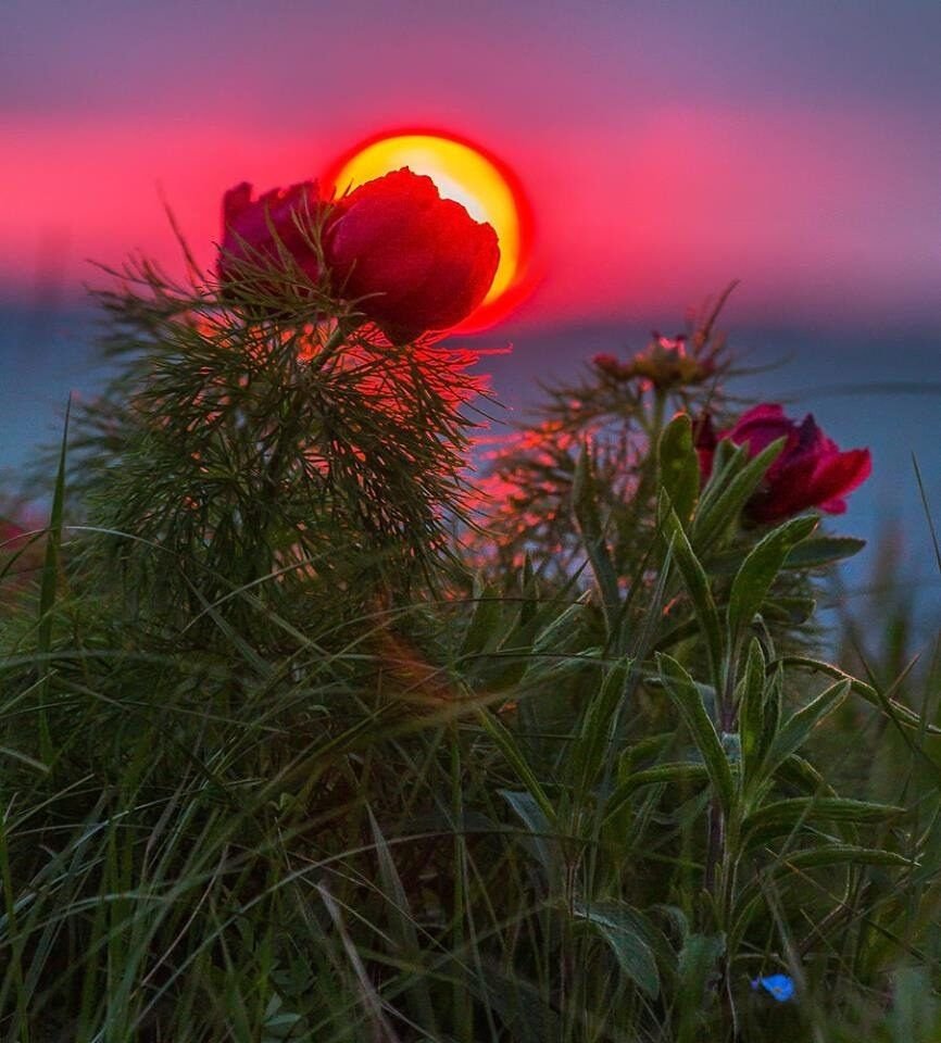 Сладких снов мужчине