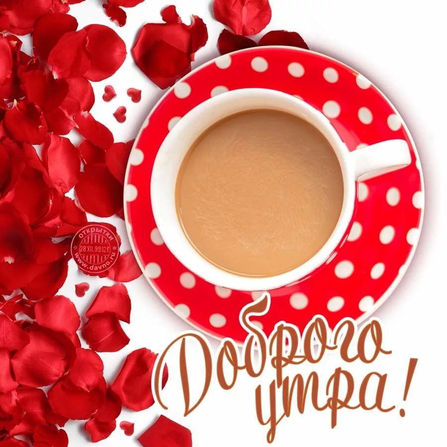 Необычные пожелания с добрым утром