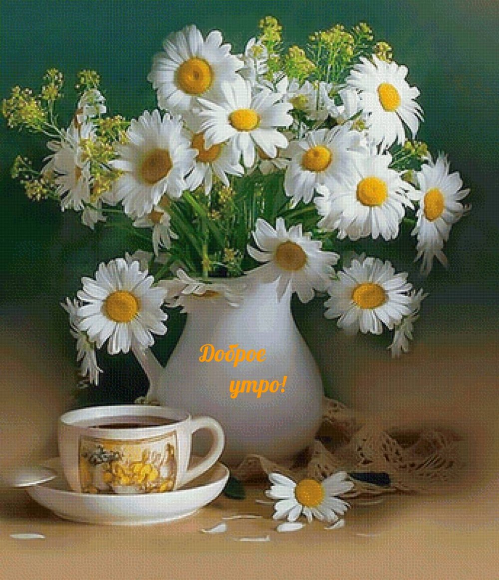 Пожелаеи ям ч дрбрым утром