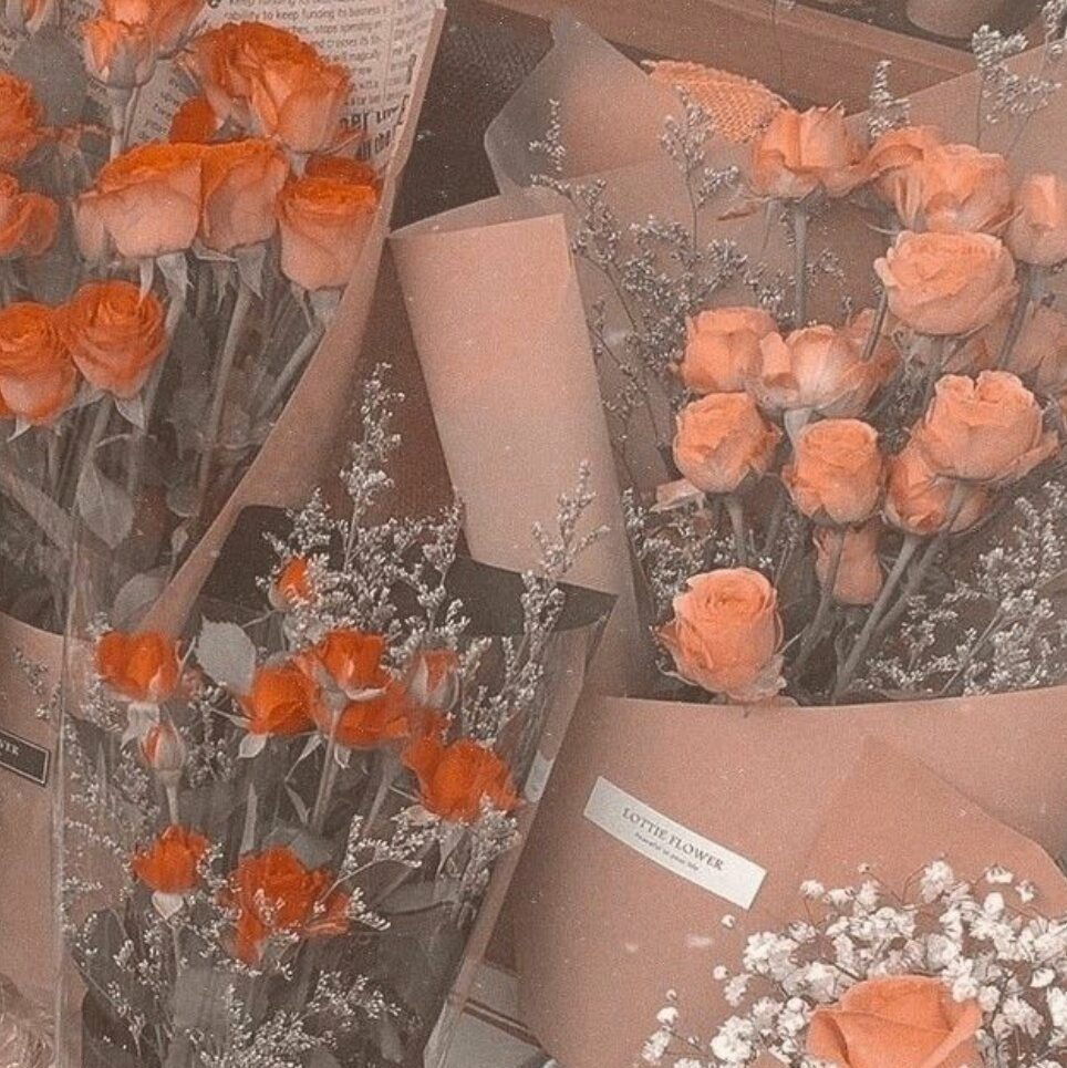 Эстетика персикового цвета