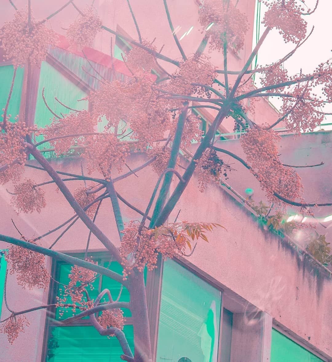 Охровая Эстетика