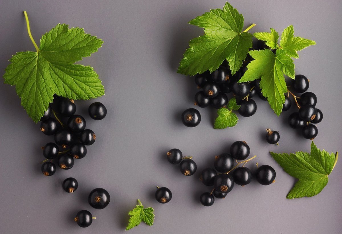 Ягоды смородины на белом фоне