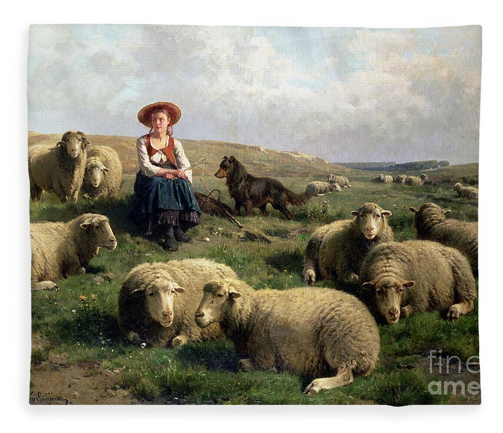 Овцы живопись