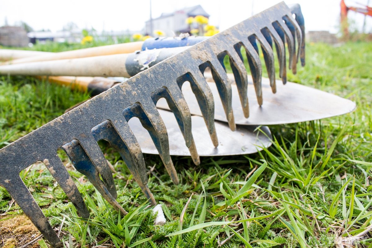 Грабли без фона