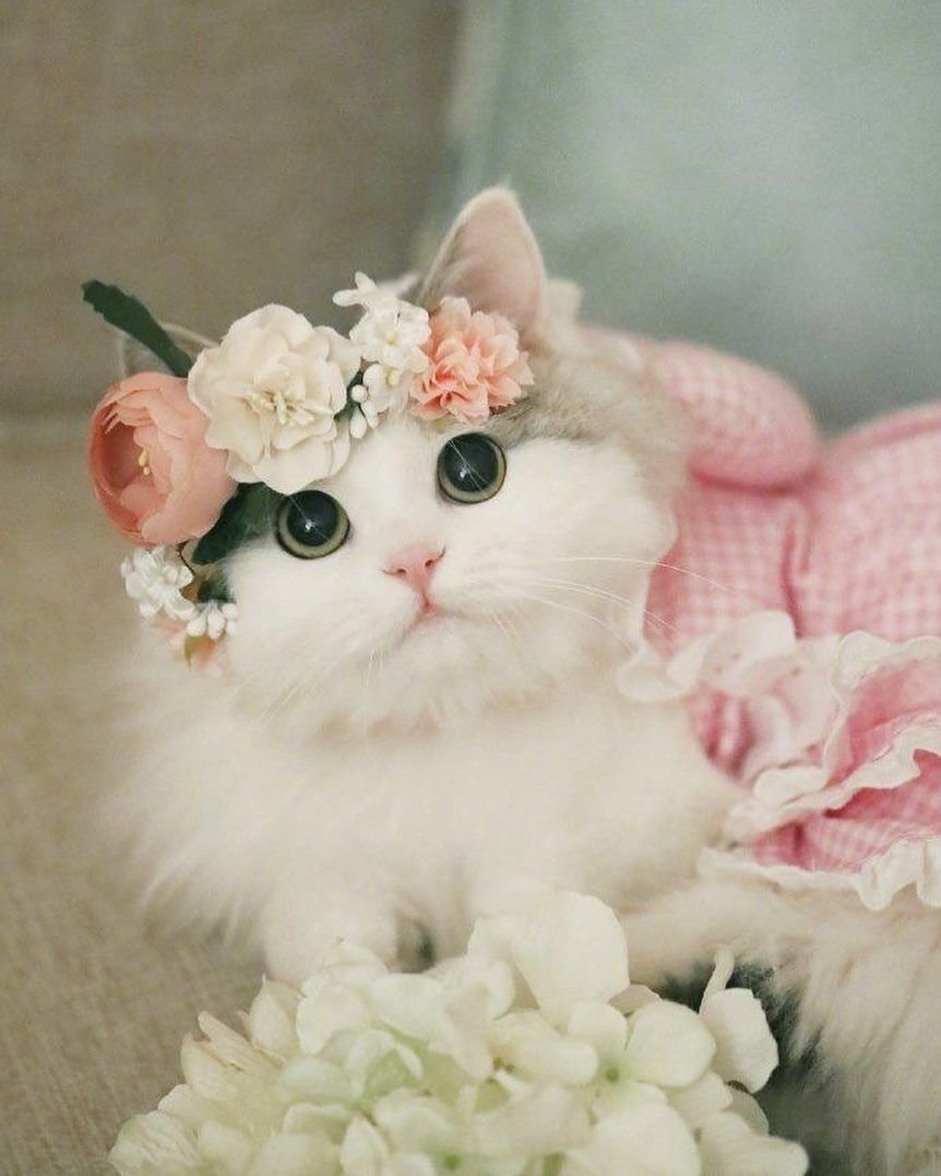 Милейшая милота