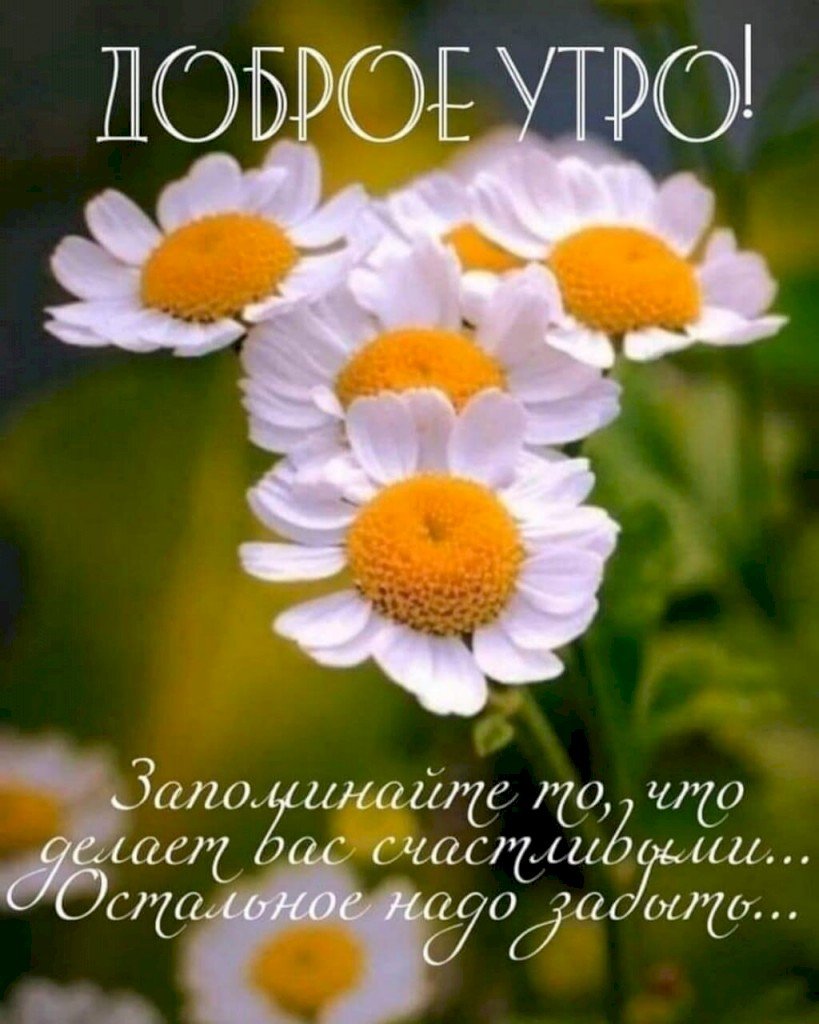 Доброе утро любимый дедушка