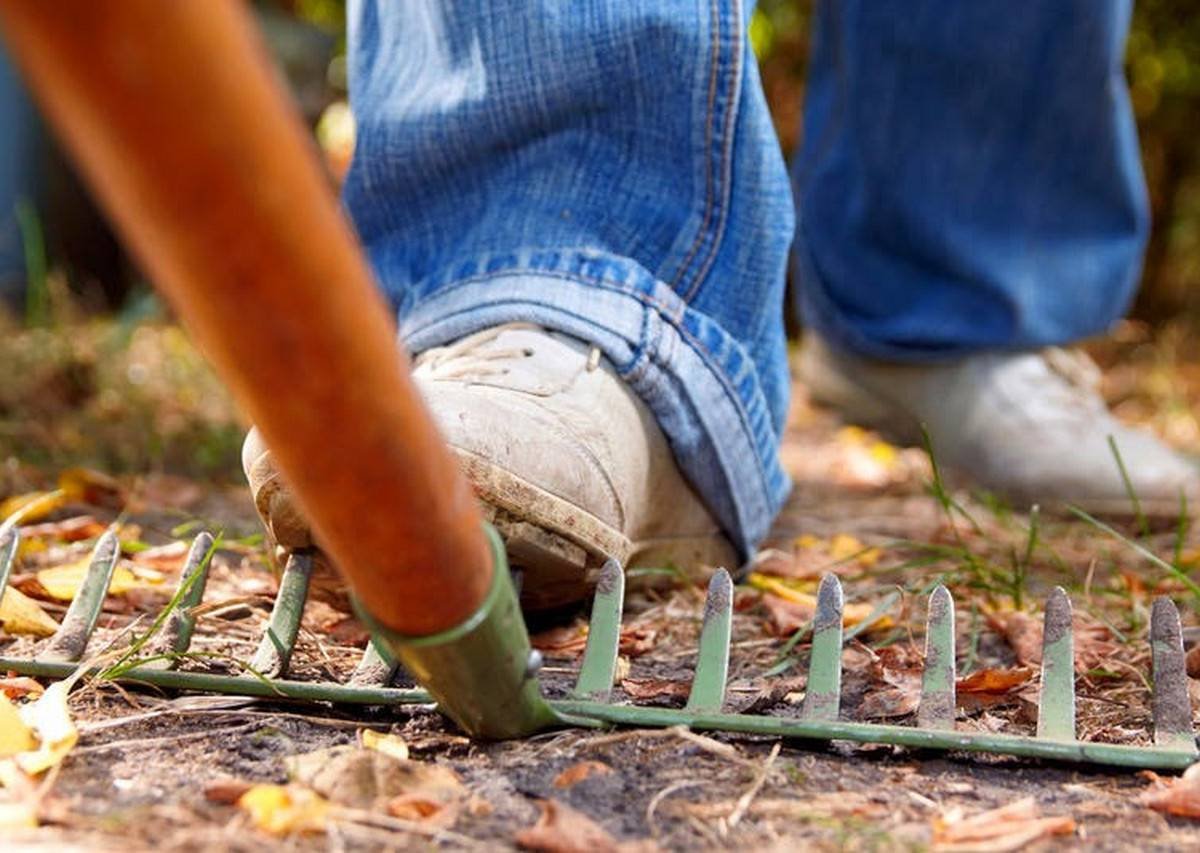 Нога наступает на грабли