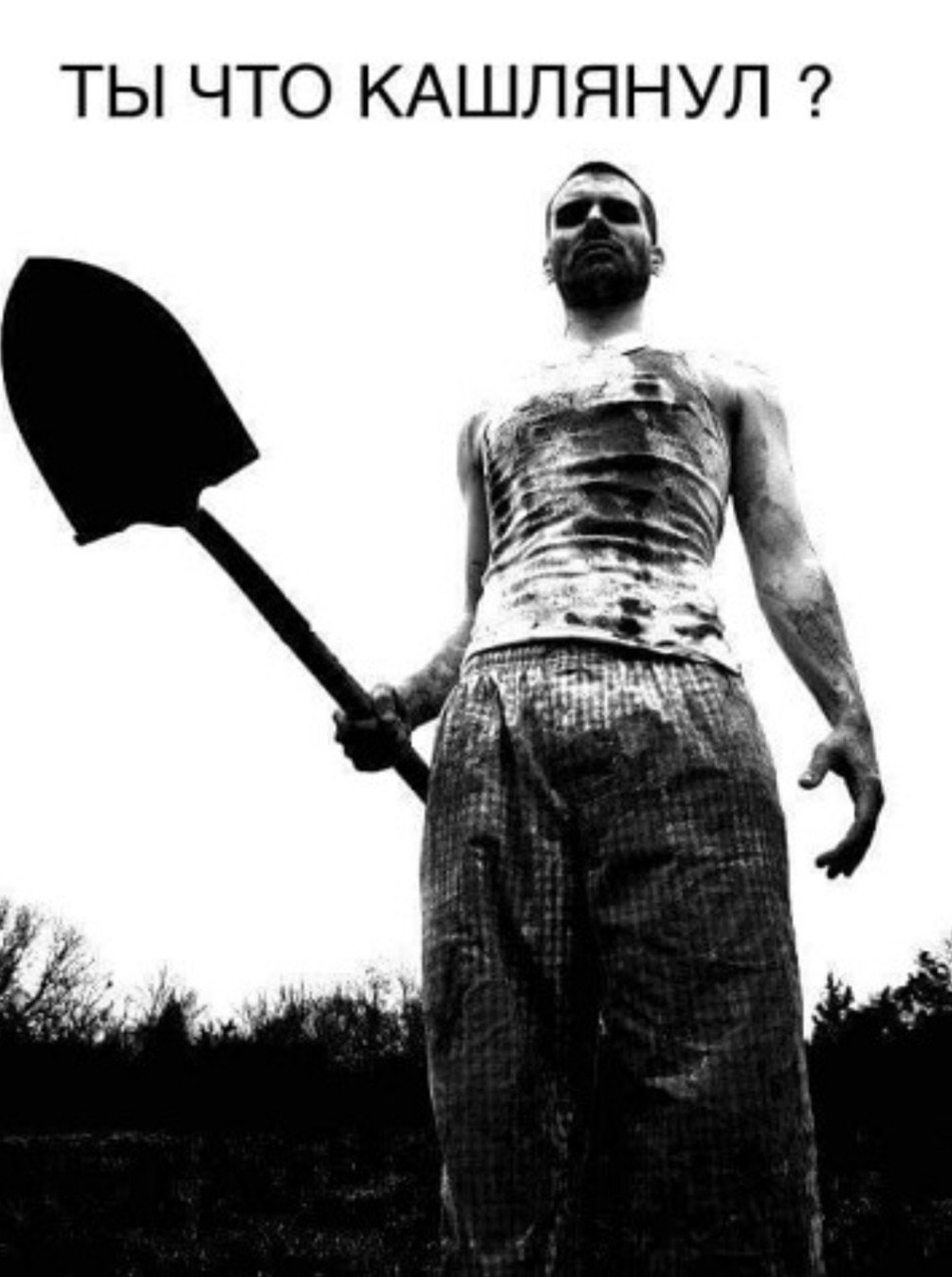 Грабли карикатура