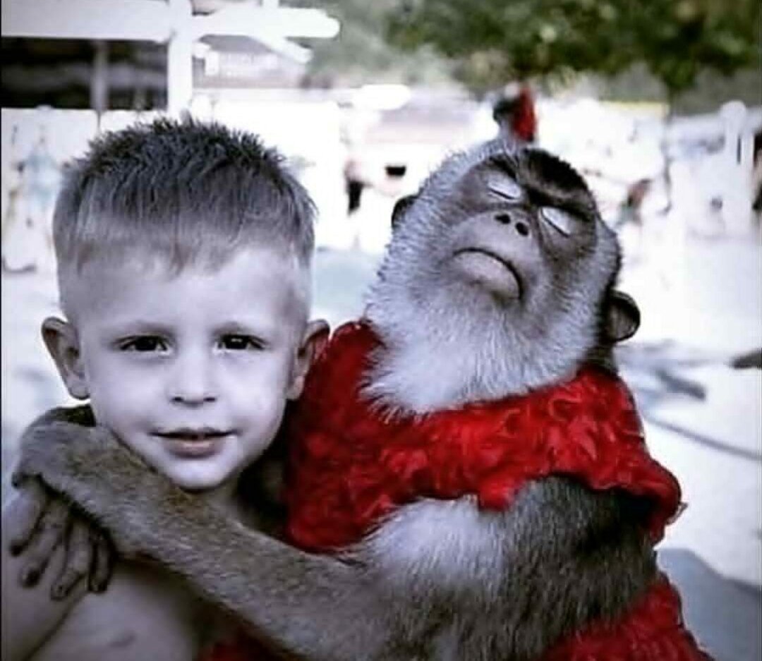 Глазами свекрови