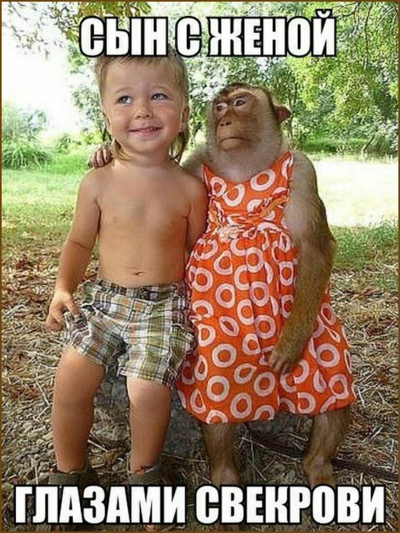 Невестка глазами свекрови