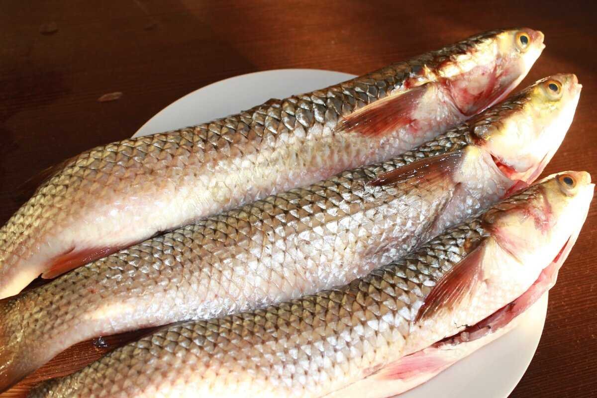 Рыба с/м кефаль 1 кг