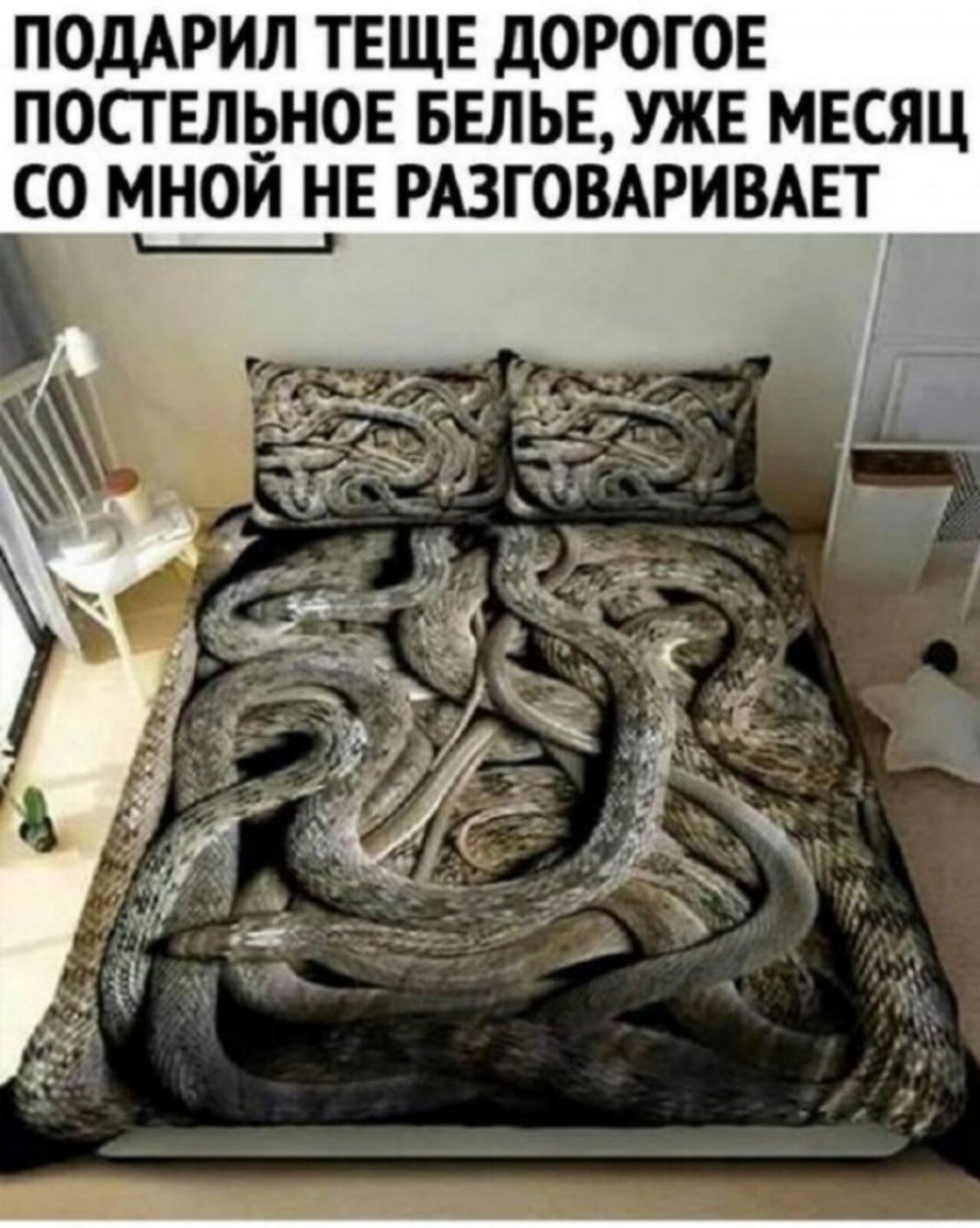 Слова золотой свекрови