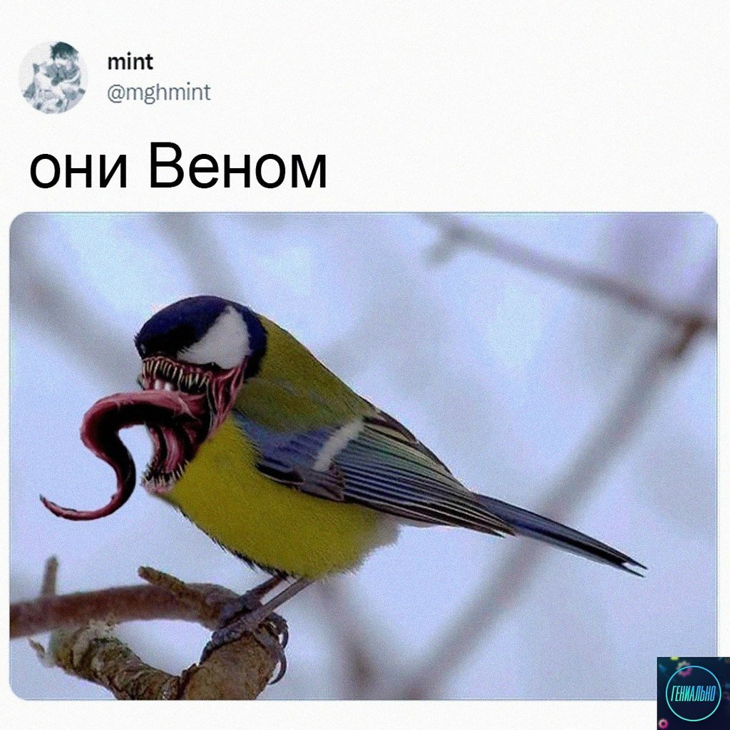 Покорми синичку