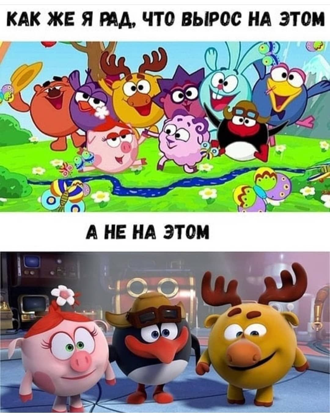 Смешарики Полянка