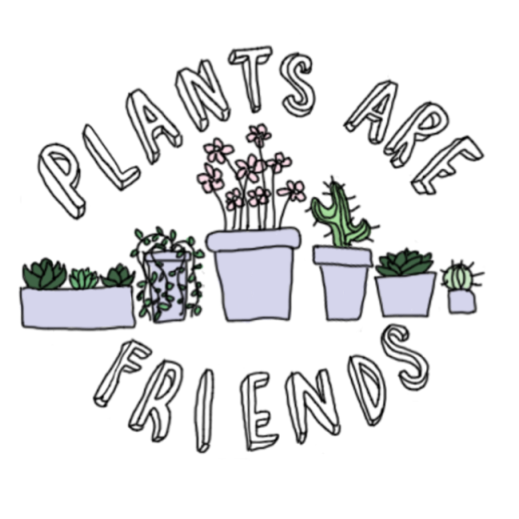 Стикеры для срисовки Эстетика растение