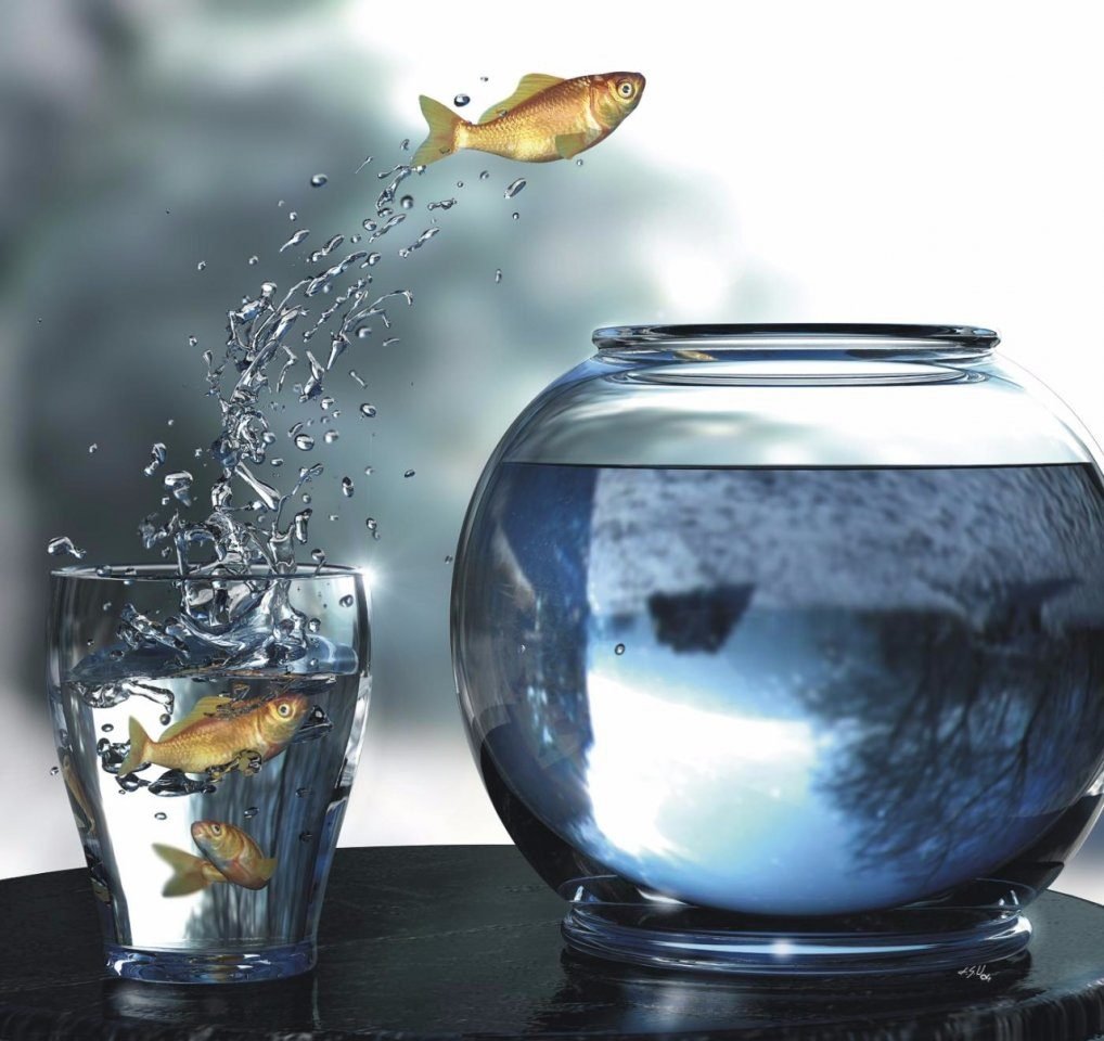 Не рискуя мы рискуем в СТО раз больше