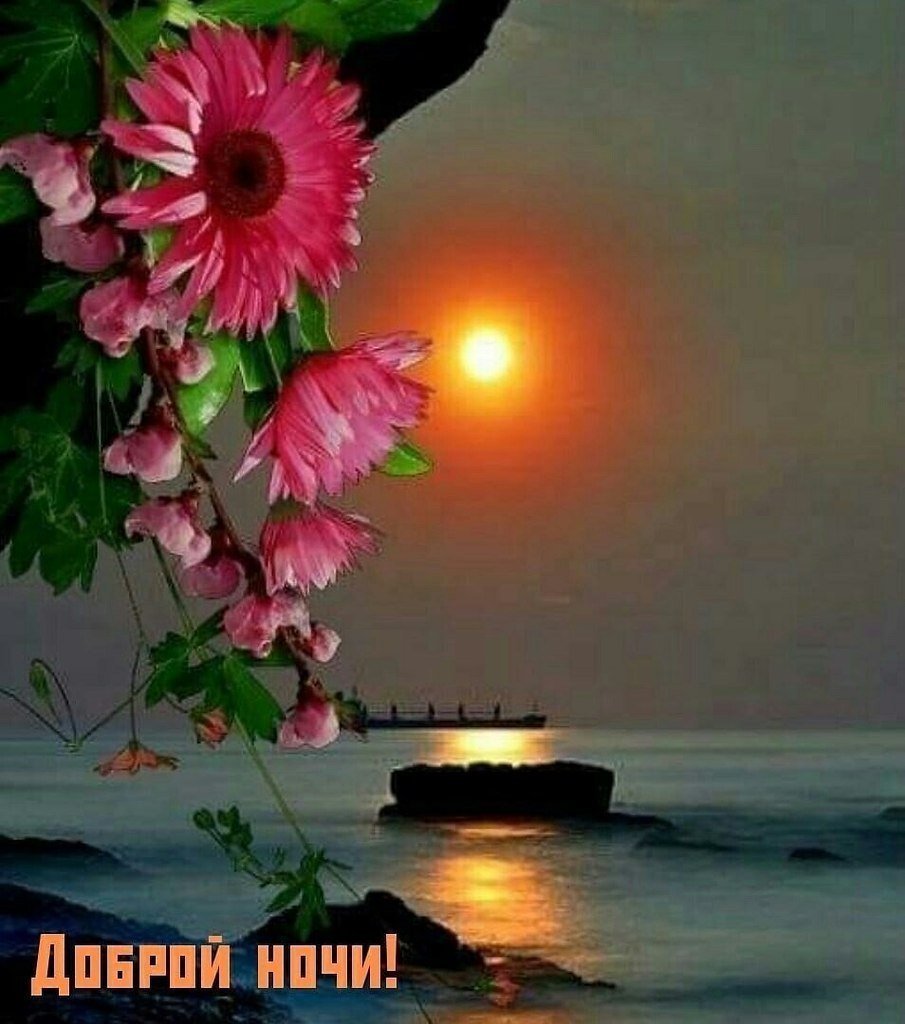 Доброй ночи,море,цветы