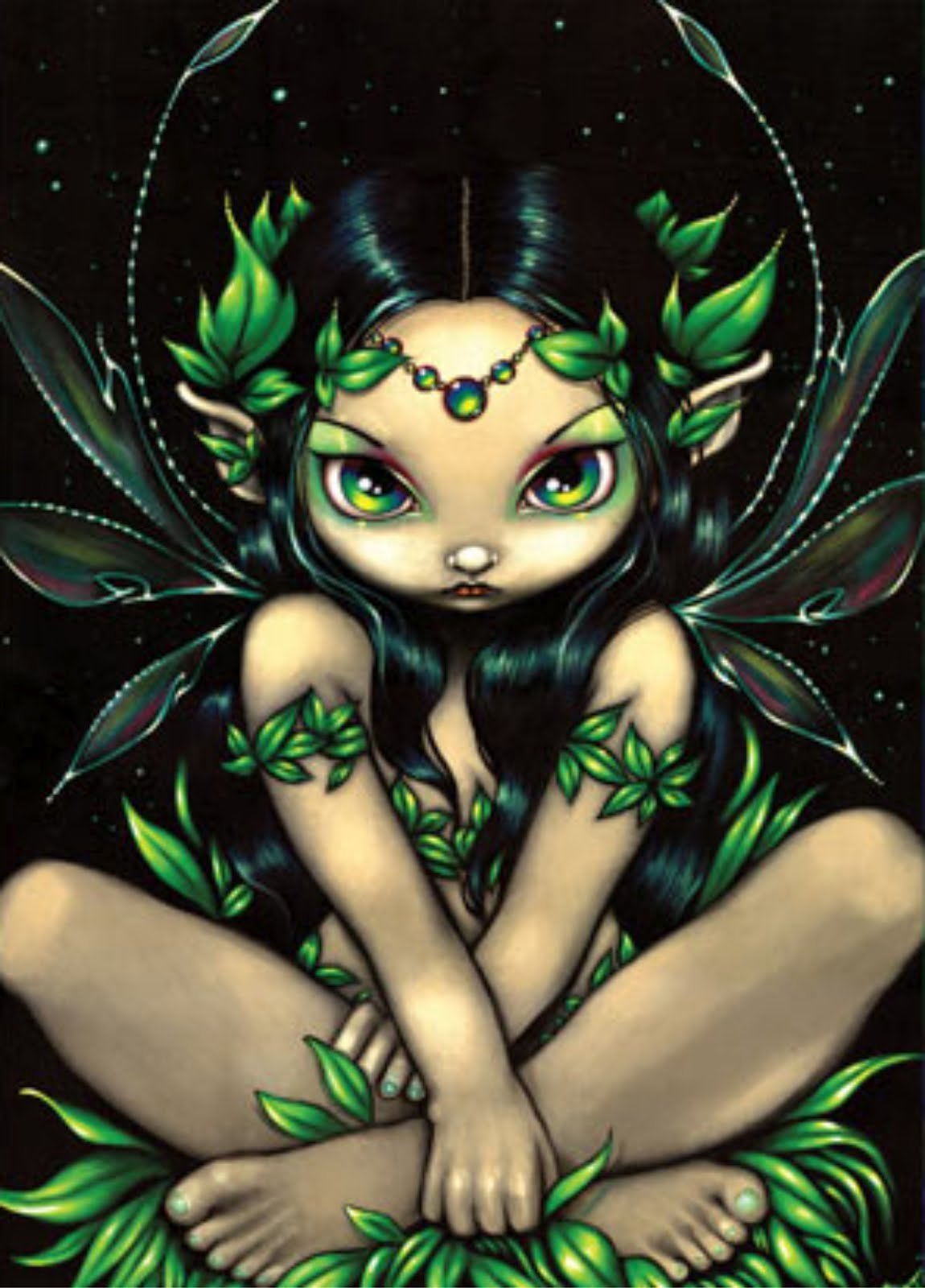 Метла ведьмы