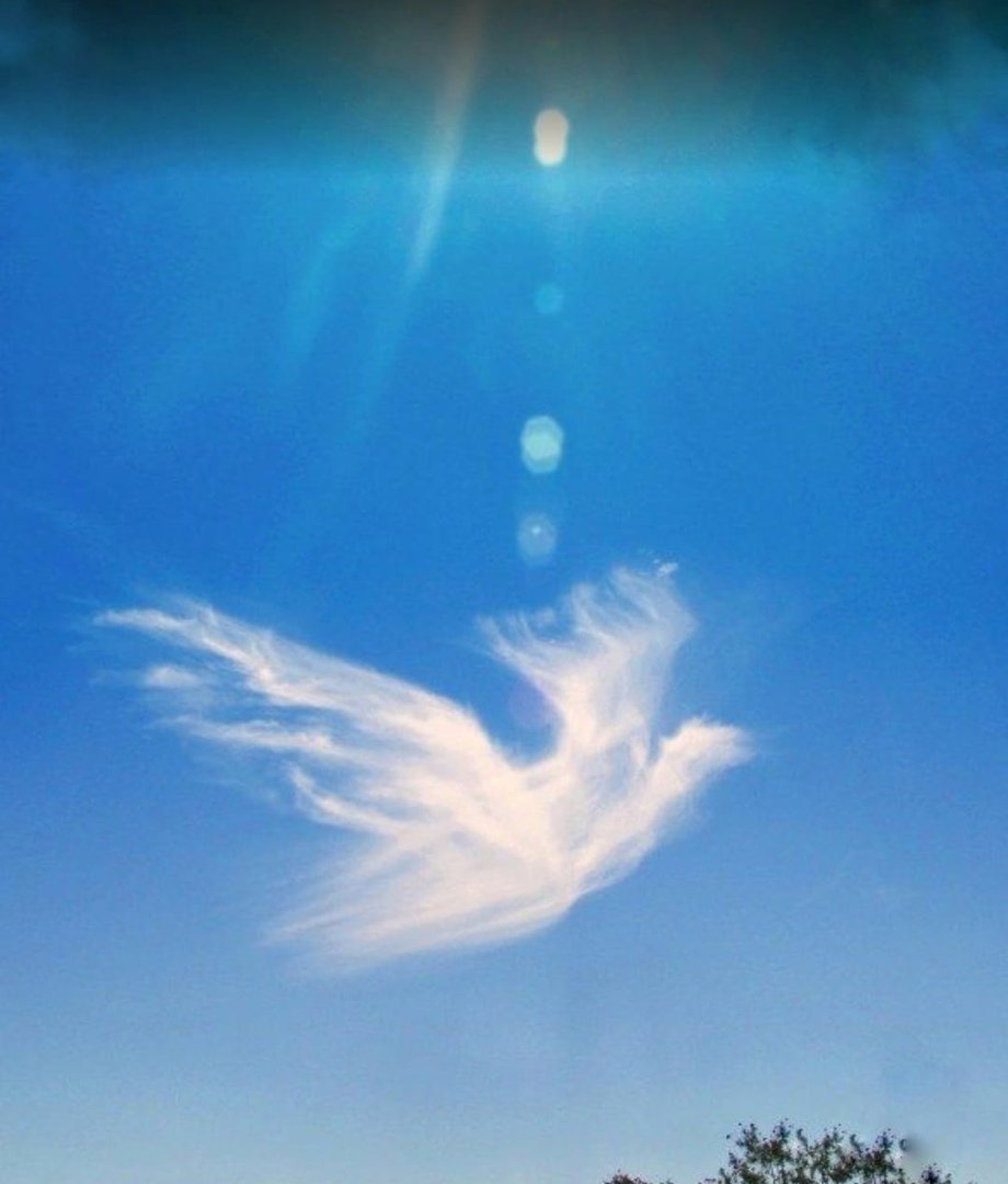 Небесные ангелы