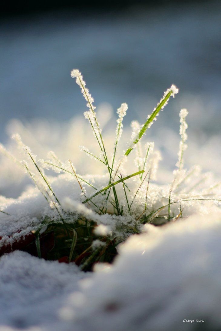 Ранняя Весна Эстетика