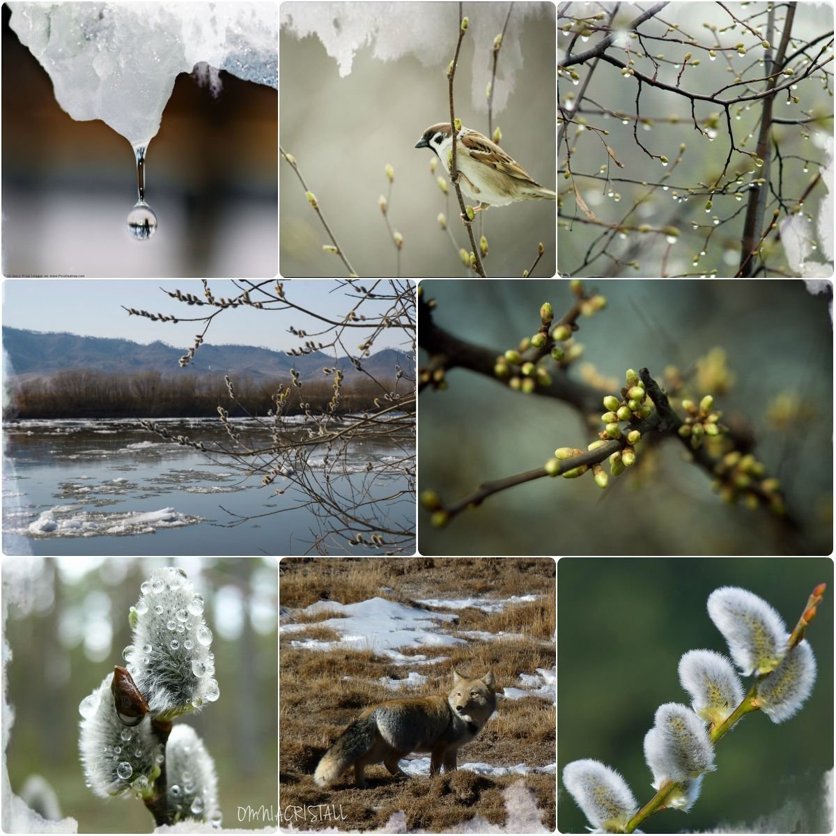 Весенний коллаж