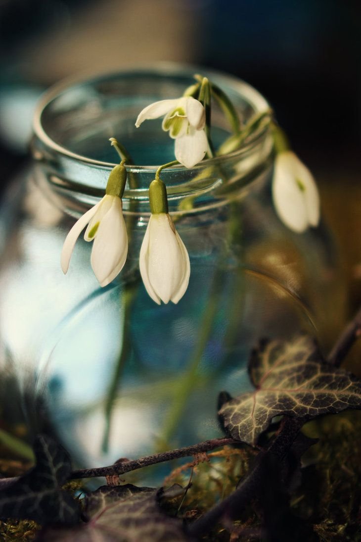 ИМБОЛК Эстетика