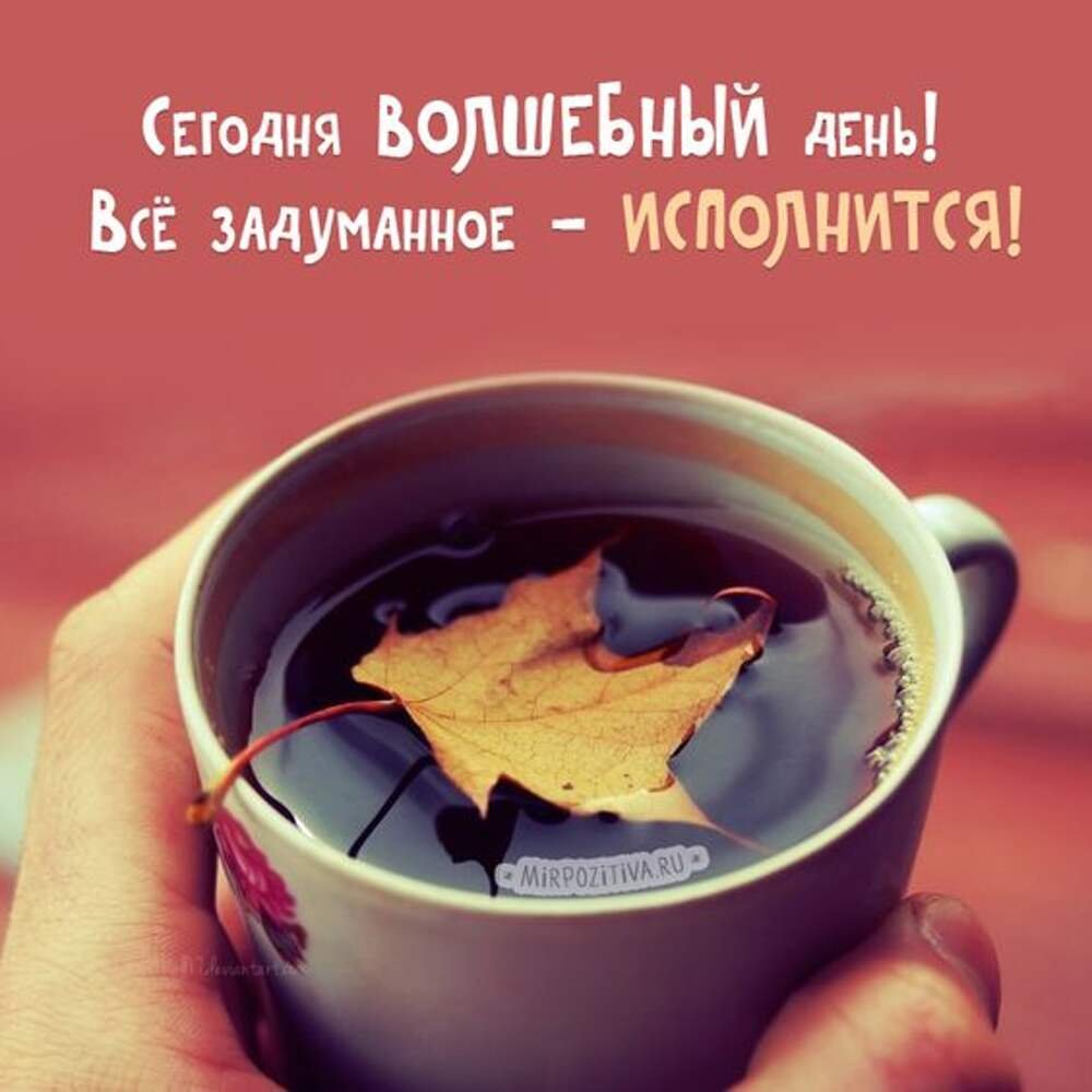 Продуктивного дня и отличного настроения