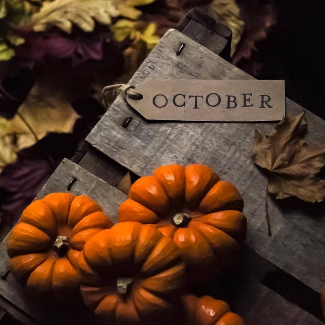 Октябрь Эстетика тыквы