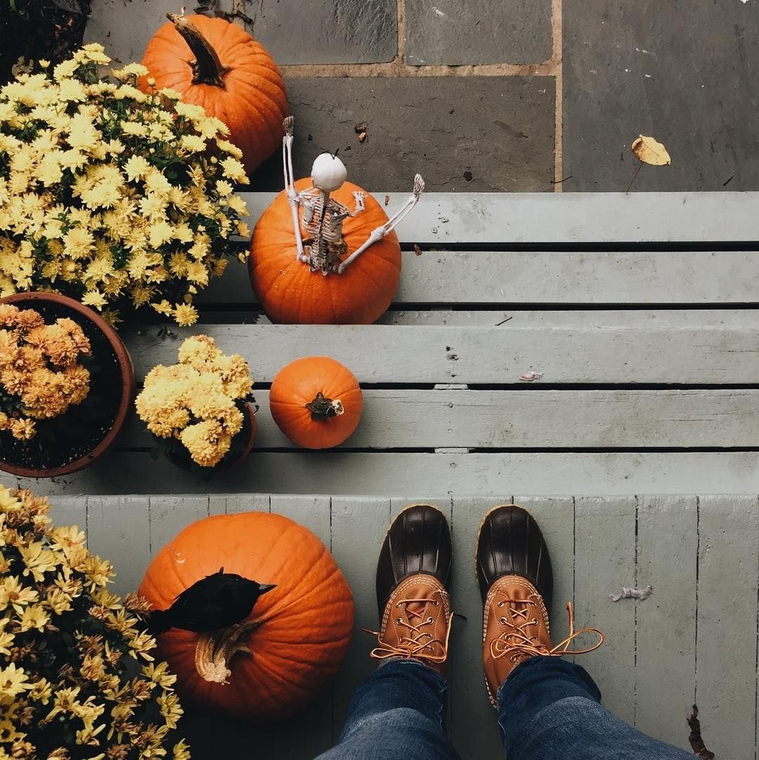 Осень Эстетика