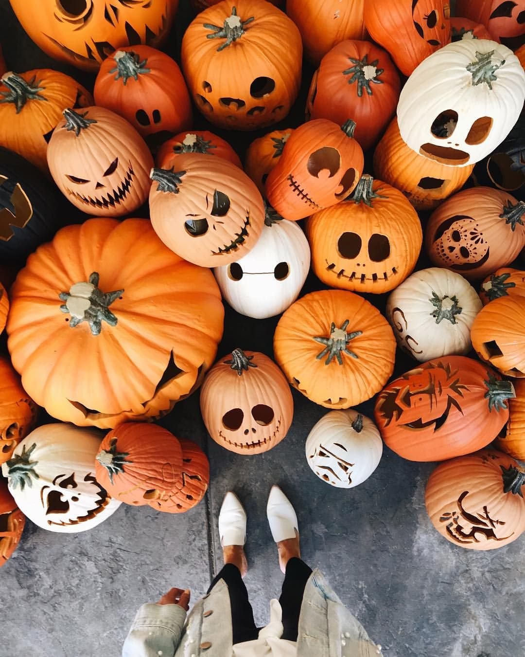 Тыквы Helloween Эстетика