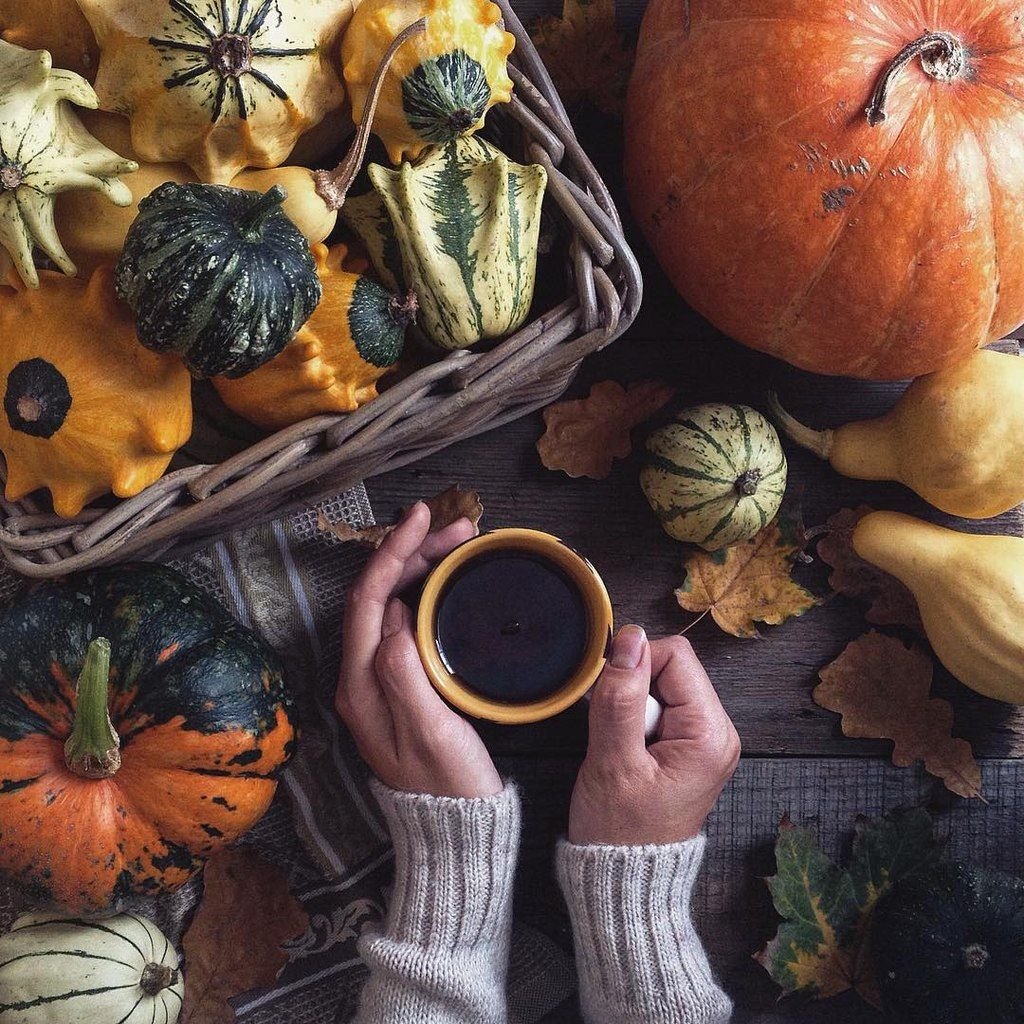 Уютная осень тыква